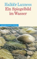 Cover: Ein Spiegelbild im Wasser - Steidl