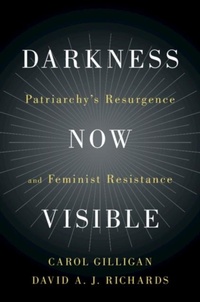 Abbildung von: Darkness Now Visible - Cambridge University Press