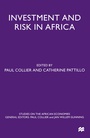 Cover: Investment and Risk in Africa - Palgrave Macmillan