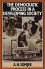 Cover: Democratic Process In A Developing Society - Palgrave Macmillan