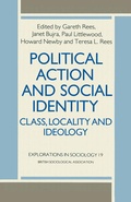 Cover: Political Action and Social Identity - Palgrave Macmillan