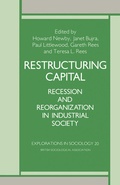 Cover: Restructuring Capital - Palgrave Macmillan