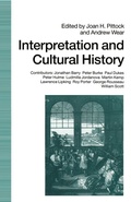 Cover: Interpretation And Cultural History - Palgrave Macmillan