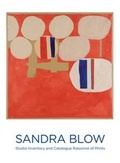 Cover: Sandra Blow: Studio Inventory and Catalogue Raisonne of Prints - Derwent-Wye Fine Art Ltd