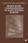 Cover: Democratic Consolidation in East-Central Europe - Palgrave Macmillan