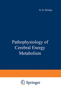 Abbildung von: Pathophysiology of Cerebral Energy Metabolism - Springer