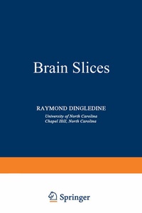 Abbildung von: Brain Slices - Springer