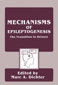 Abbildung von: Mechanisms of Epileptogenesis - Springer