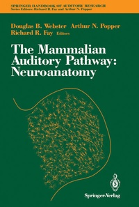 Abbildung von: The Mammalian Auditory Pathway: Neuroanatomy - Springer