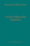 Cover: Partial Differential Equations - Birkh&auml;user