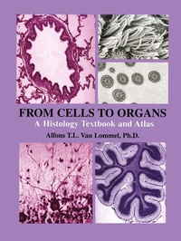 Abbildung von: From Cells to Organs - Springer