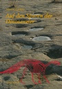 Cover: Auf den Spuren der Dinosaurier - Birkhäuser
