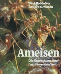 Cover: Ameisen - Birkh&auml;user