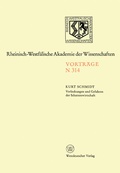 Cover: Verlockungen und Gefahren der Schattenwirtschaft - VS Verlag f&uuml;r Sozialwissenschaften