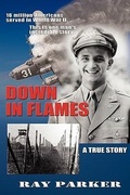 Cover: Down in Flames - Mill City Press, Inc