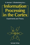 Bild: Information Processing in the Cortex - Springer