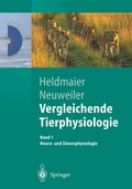 Cover: Vergleichende Tierphysiologie - Springer