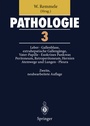 Cover: Pathologie 3 - Springer