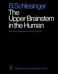 Bild: The Upper Brainstem in the Human - Springer