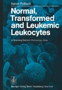 Cover: Normal, Transformed and Leukemic Leukocytes - Springer