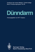 Cover: D&uuml;nndarm B - Springer