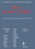 Cover: Herz Grosse Gef&auml;sse - Springer