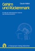 Abbildung von: Gehirn und Rückenmark - J.F. Bergmann-Verlag