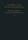 Cover: Allgemeine Physiologie der Pflanzenzelle / General Physiology of the Plant Cell - Springer