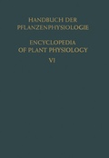 Cover: Aufbau &middot; Speicherung &middot; Mobilisierung und Umbildung der Kohlenhydrate / Formation &middot; Storage &middot; Mobilization and Transformation of Carbohydrates - Springer