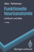 Abbildung von: Funktionelle Neuroanatomie - Springer