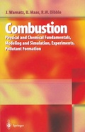 Cover: Combustion - Springer