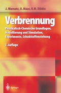 Cover: Verbrennung - Springer