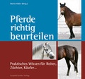 Cover: Pferde richtig beurteilen - Stocker, L