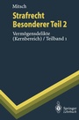 Cover: Strafrecht, Besonderer Teil 2 - Springer