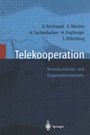 Cover: Telekooperation - Springer
