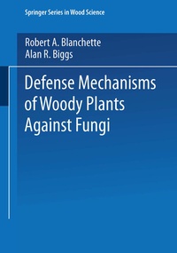 Abbildung von: Defense Mechanisms of Woody Plants Against Fungi - Springer