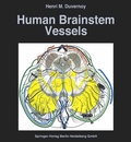 Bild: Human Brainstem Vessels - Springer