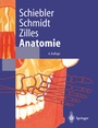 Cover: Anatomie - Springer