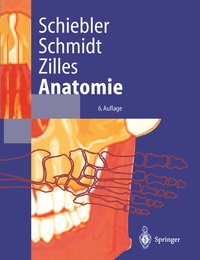 Abbildung von: Anatomie - Springer