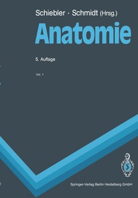 Abbildung von: Anatomie - Springer