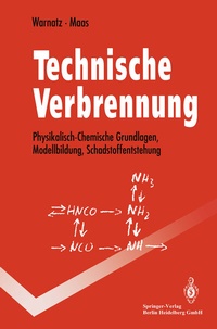 Abbildung von: Technische Verbrennung - Springer