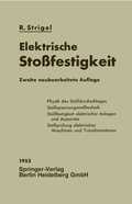 Cover: Elektrische Sto&szlig;festigkeit - Springer