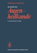 Abbildung von: Grundriß der Augenheilkunde - Springer