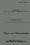 Cover: Glimmer und Glimmerprodukte - Springer