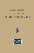 Cover: Anleitung zur Qualitativen Analyse - Springer