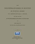 Cover: Die Influenza-Epidemie in Egypten im Winter 1889/90 - Springer