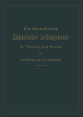 Cover: Die Berechnung elektrischer Leitungsnetze in Theorie und Praxis - Springer