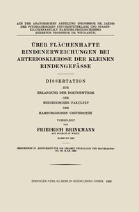 Abbildung von: Über Flächenhafte Rindenerweichungen bei Arteriosklerose der Kleinen Rindengefässe - Springer