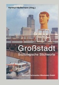 Cover: Gro&szlig;stadt - VS Verlag f&uuml;r Sozialwissenschaften