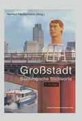 Cover: Gro&szlig;stadt - VS Verlag f&uuml;r Sozialwissenschaften